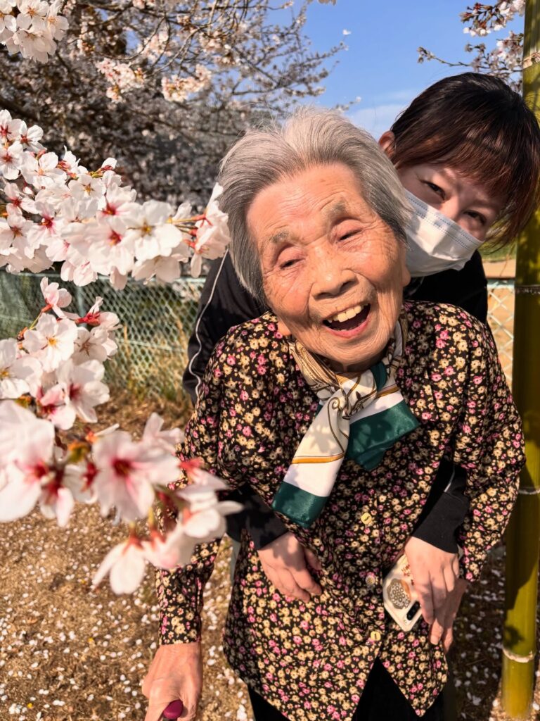 2026パンダ公園でのお花見1
