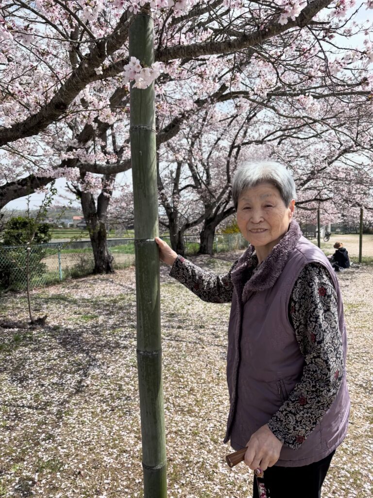 2026パンダ公園でのお花見4