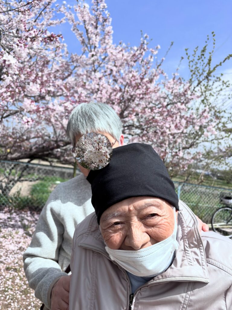 2026パンダ公園でのお花見5